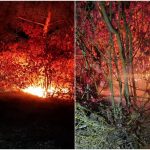 Două incendii de vegetație uscată în raionul Ocnița. Îndemnul autorităților locale