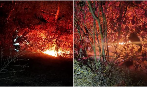 Două incendii de vegetație uscată în raionul Ocnița. Îndemnul autorităților locale