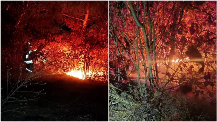 Două incendii de vegetație uscată în raionul Ocnița. Îndemnul autorităților locale