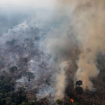 Incendii de amploare în Amazonia braziliană. Evenimentele sunt anulate din cauza fumului