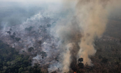 Incendii de amploare în Amazonia braziliană. Evenimentele sunt anulate din cauza fumului