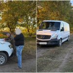 Tăieri neautorizate de arbori, depistate la hotarul raioanelor Ocnița și Briceni. Un bărbat a fost amendat