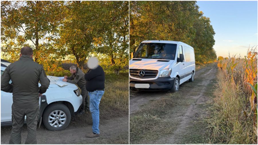 Tăieri neautorizate de arbori, depistate la hotarul raioanelor Ocnița și Briceni. Un bărbat a fost amendat