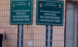 Întreprinderea „Spații Verzi” respinge acuzațiile lui Melnic privind favorizarea unei firme la licitații