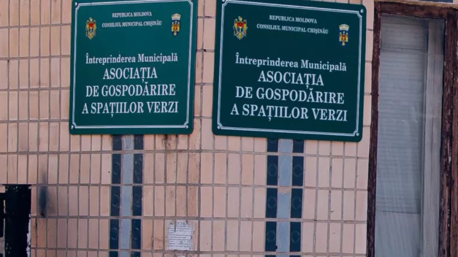 Întreprinderea „Spații Verzi” respinge acuzațiile lui Melnic privind favorizarea unei firme la licitații