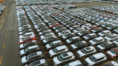 VIDEO Doi bărbați, reținuți într-un dosar de escrocherie cu automobile importate din China