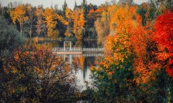 Prognoza meteo pentru 1 octombrie: Dimineți reci și izolat cu îngheț, dar temperaturi plăcute în timpul zilei