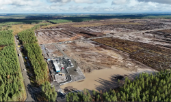 Scandal ecologic în Finlanda? 400.000 de copaci, tăiați pentru un centru de date Google