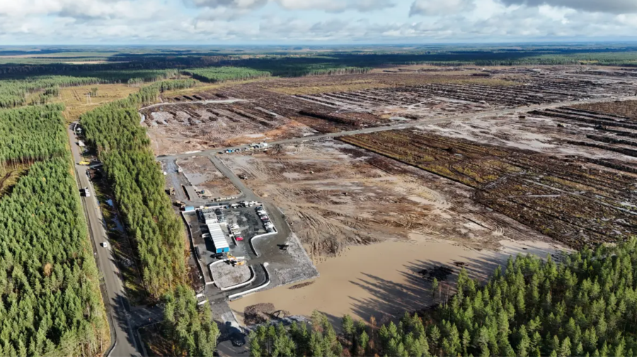 Scandal ecologic în Finlanda? 400.000 de copaci, tăiați pentru un centru de date Google