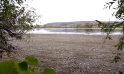 VIDEO Apa din Nistru s-a retras și la Vasilcău: Albia râului poate fi traversată pe jos