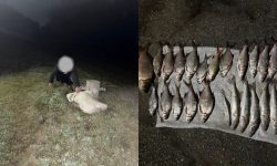 FOTO Pescuit ilegal pe Prut cu plase din monofilament. Un bărbat, prins în flagrant