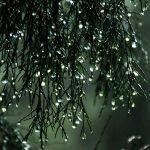 Prognoza meteo pentru 28 octombrie: Ploi pe arii extinse în prima parte a zilei și temperaturi de până la 15 grade