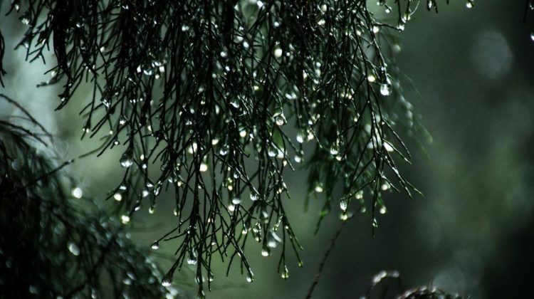 Prognoza meteo pentru 28 octombrie: Ploi pe arii extinse în prima parte a zilei și temperaturi de până la 15 grade