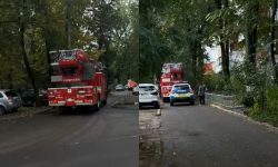 VIDEO Intervenție pe strada Trandafirilor: Un scurtcircuit la un cuptor electric a pus autoritățile în alertă