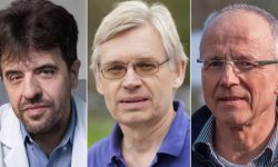 Premiul Nobel pentru Medicină: Trei cercetători au dezvoltat o tehnică ce controlează neuronii cu lumină