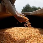 Licențierea importurilor de cereale și oleaginoase ar putea fi prelungită: Anunțul ministrului Agriculturii