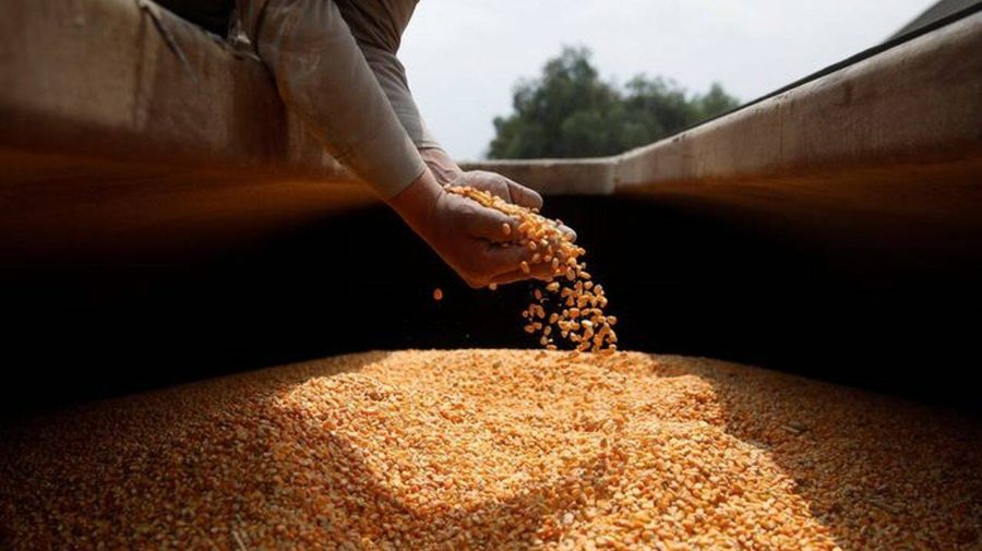 Licențierea importurilor de cereale și oleaginoase ar putea fi prelungită: Anunțul ministrului Agriculturii