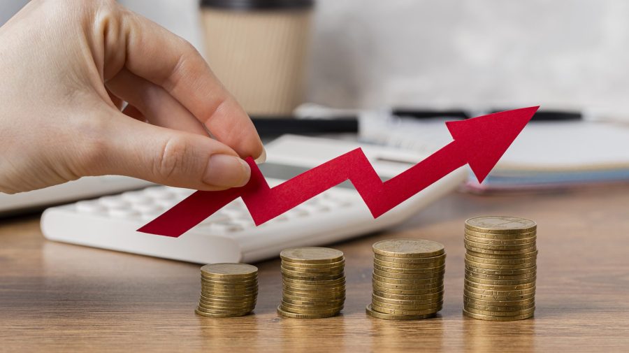 Întreprinderile de stat au active de 66,2 miliarde de lei și profit net de 1,1 miliarde. Cel mai mult câștigă monopolul