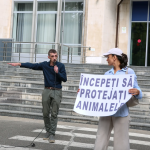 Protest la Guvern pentru protecția animalelor: Activiștii cer măsuri concrete și o structură națională