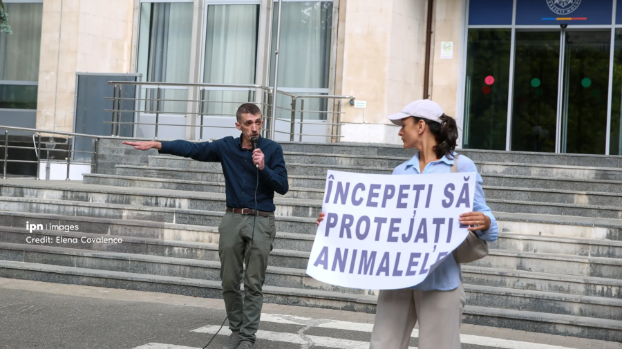Protest la Guvern pentru protecția animalelor: Activiștii cer măsuri concrete și o structură națională