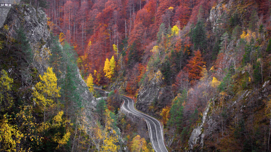 „Călătorie în țara badantelor”: 14 italieni au descoperit România la inițiativa unui preot român