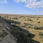 FOTO Excavații ilegale pe un teren agricol din Vulcănești. Prejudiciul depășește 19 milioane de lei
