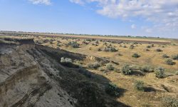 FOTO Excavații ilegale pe un teren agricol din Vulcănești. Prejudiciul depășește 19 milioane de lei