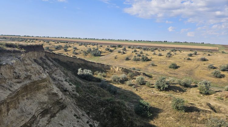FOTO Excavații ilegale pe un teren agricol din Vulcănești. Prejudiciul depășește 19 milioane de lei