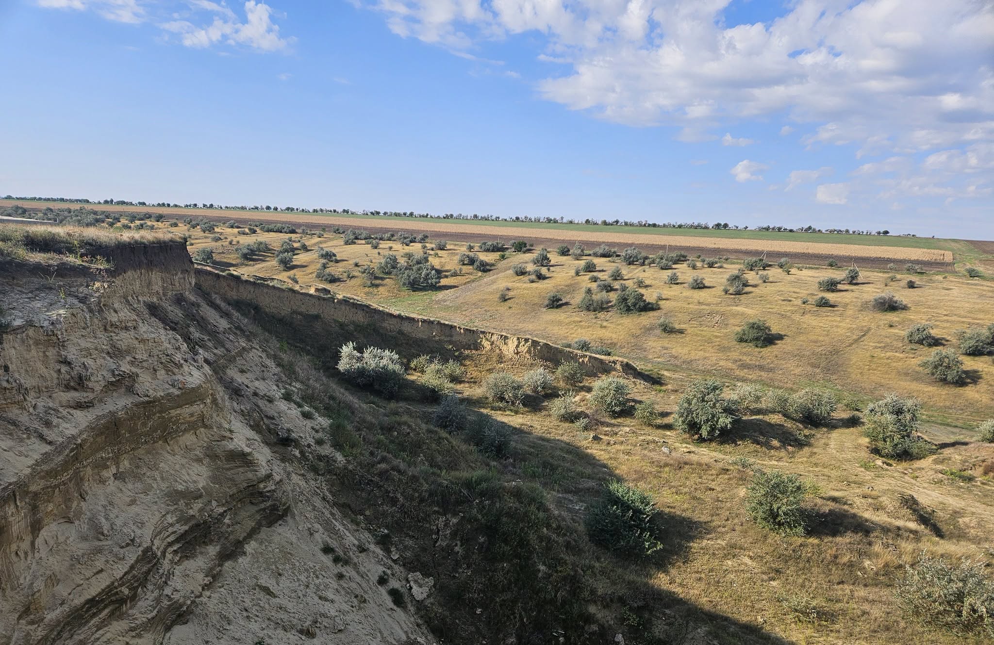 FOTO Excavații ilegale pe un teren agricol din Vulcănești. Prejudiciul depășește 19 milioane de lei