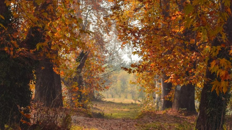 Prognoza meteo pentru 5 octombrie: Vreme caldă în timpul zilei, dar cu înghețuri izolate