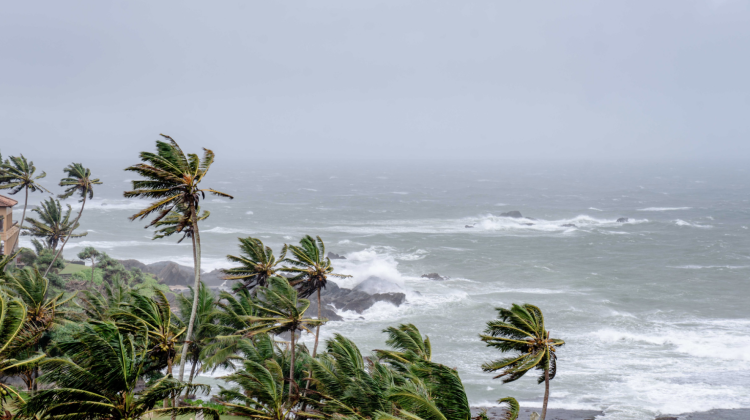 Primul uragan din Oceanul Atlantic în acest sezon. Trei state – vizate de atenționările meteorologilor