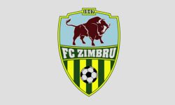 ULTIMA ORĂ! F.C. Zimbru riscă să nu-și mai poată continua activitatea